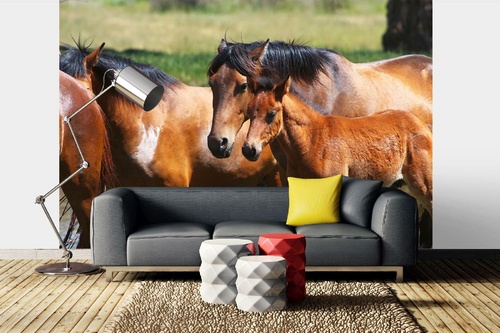 Vlies Fototapete - Pferde mit jungem Fohlen 375 x 250 cm